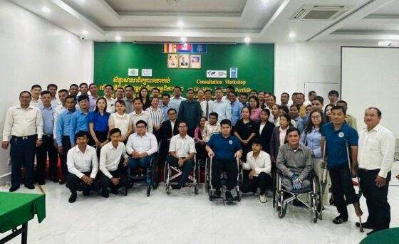 Consultation Workshop on the Disability Inclusion Portfolio